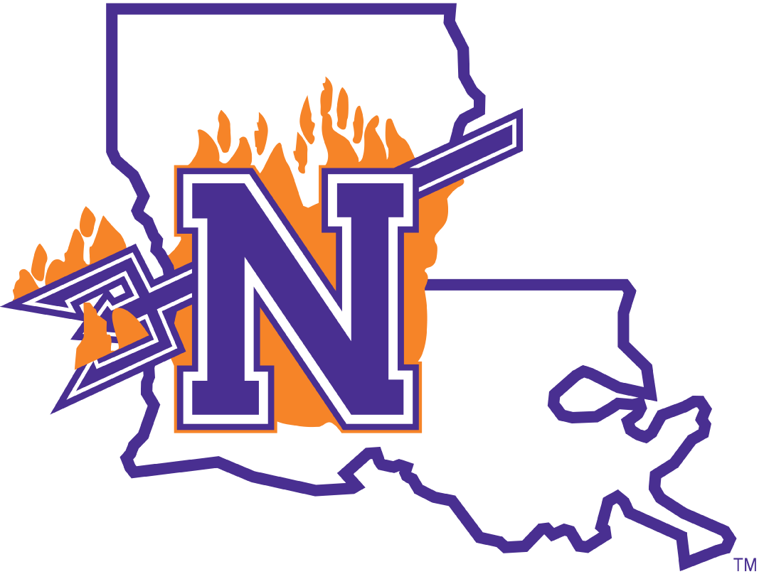 Northwestern State Demons 2008-2013 Primary Logo t shirts iron on transfers